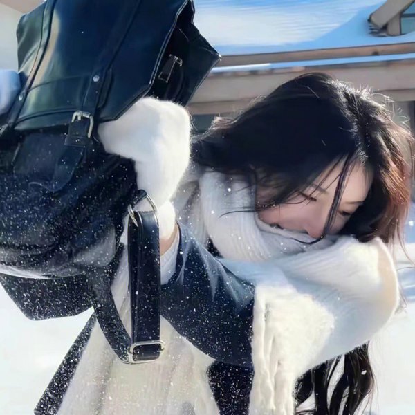 飞贼黑猫