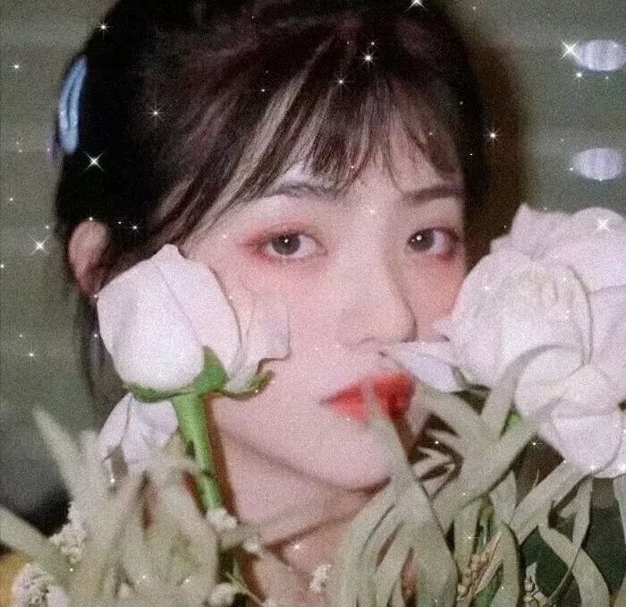 柳叶摘星辰