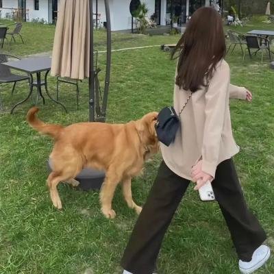 前无古人 动态漫