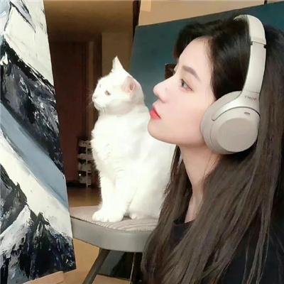 如果历史是一群喵第三季